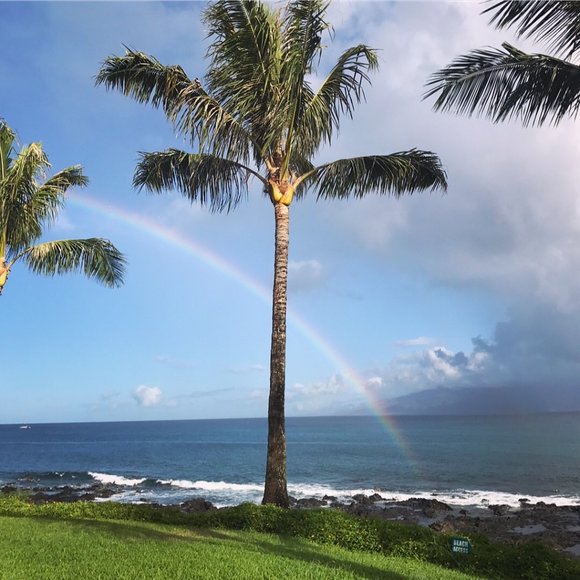 Meet your Posher, BeachySD - Picture 4 of 16